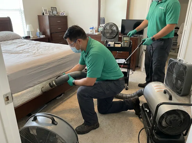 Bed Bug Thermal and Chemical Eradication in Houston, TX